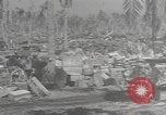Image of Weasel M-29C Pacific Theater, 1944, second 50 stock footage video 65675057689