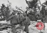 Image of United States Marines Palau Islands, 1944, second 25 stock footage video 65675057692