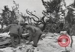 Image of United States Marines Palau Islands, 1944, second 27 stock footage video 65675057692