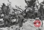 Image of United States Marines Palau Islands, 1944, second 28 stock footage video 65675057692