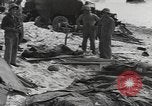 Image of United States Marines Palau Islands, 1944, second 38 stock footage video 65675057692