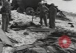Image of United States Marines Palau Islands, 1944, second 39 stock footage video 65675057692