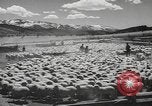 Standbild Kriegsveteranen Utah United States USA, 1945, aus Sekunde 29 historischem Filmmaterial Videoclip 65675057705