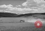 Standbild Kriegsveteranen Utah United States USA, 1945, aus Sekunde 37 historischem Filmmaterial Videoclip 65675057705