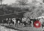 Standbild amerikanische Soldaten Italien, 1944, aus Sekunde 33 historischem Filmmaterial Videoclip 65675057708
