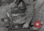 Standbild amerikanische Soldaten Italien, 1944, aus Sekunde 39 historischem Filmmaterial Videoclip 65675057708