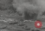 Immagine di Di guerra nella giungla Hawaii USA, 1944, secondo 20 filmato di repertorio 65675057710