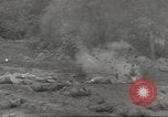 Immagine di Di guerra nella giungla Hawaii USA, 1944, secondo 21 filmato di repertorio 65675057710