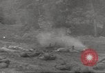 Immagine di Di guerra nella giungla Hawaii USA, 1944, secondo 22 filmato di repertorio 65675057710