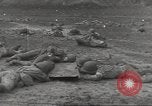 Immagine di Di guerra nella giungla Hawaii USA, 1944, secondo 23 filmato di repertorio 65675057710