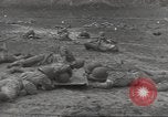 Immagine di Di guerra nella giungla Hawaii USA, 1944, secondo 24 filmato di repertorio 65675057710