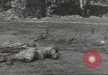 Immagine di Di guerra nella giungla Hawaii USA, 1944, secondo 27 filmato di repertorio 65675057710