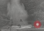 Immagine di Di guerra nella giungla Hawaii USA, 1944, secondo 36 filmato di repertorio 65675057710