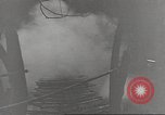 Immagine di Di guerra nella giungla Hawaii USA, 1944, secondo 39 filmato di repertorio 65675057710