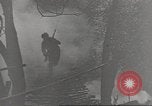 Immagine di Di guerra nella giungla Hawaii USA, 1944, secondo 40 filmato di repertorio 65675057710