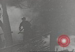 Immagine di Di guerra nella giungla Hawaii USA, 1944, secondo 41 filmato di repertorio 65675057710