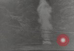 Immagine di Di guerra nella giungla Hawaii USA, 1944, secondo 46 filmato di repertorio 65675057710