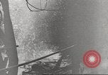 Immagine di Di guerra nella giungla Hawaii USA, 1944, secondo 58 filmato di repertorio 65675057710