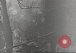 Immagine di Di guerra nella giungla Hawaii USA, 1944, secondo 59 filmato di repertorio 65675057710