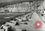 Image of Marine Corps recruits San Diego California USA, 1939, second 4 stock footage video 65675057719