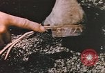 Image of United States Marines Iwo Jima, 1945, second 48 stock footage video 65675057721