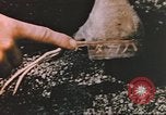 Image of United States Marines Iwo Jima, 1945, second 50 stock footage video 65675057721