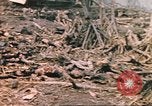 Image of United States Marines Iwo Jima, 1945, second 37 stock footage video 65675057723