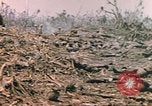 Image of United States Marines Iwo Jima, 1945, second 39 stock footage video 65675057723