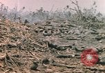 Image of United States Marines Iwo Jima, 1945, second 41 stock footage video 65675057723