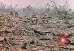 Image of United States Marines Iwo Jima, 1945, second 42 stock footage video 65675057723