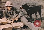 Image of United States Marines Iwo Jima, 1945, second 43 stock footage video 65675057723