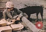 Image of United States Marines Iwo Jima, 1945, second 44 stock footage video 65675057723