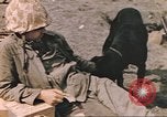Image of United States Marines Iwo Jima, 1945, second 47 stock footage video 65675057723