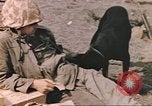 Image of United States Marines Iwo Jima, 1945, second 48 stock footage video 65675057723