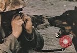 Image of United States Marines Iwo Jima, 1945, second 49 stock footage video 65675057723