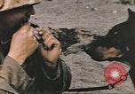 Image of United States Marines Iwo Jima, 1945, second 50 stock footage video 65675057723