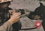 Image of United States Marines Iwo Jima, 1945, second 51 stock footage video 65675057723