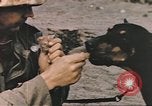 Image of United States Marines Iwo Jima, 1945, second 52 stock footage video 65675057723