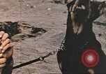 Image of United States Marines Iwo Jima, 1945, second 53 stock footage video 65675057723