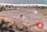 Image of US soldier assists wounded tank driver Iwo Jima Iwo Jima, 1945, second 34 stock footage video 65675057724