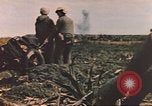 Image of United States Marines Iwo Jima, 1945, second 47 stock footage video 65675057725