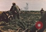 Image of United States Marines Iwo Jima, 1945, second 49 stock footage video 65675057725