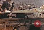 Image of United States Marines Iwo Jima, 1945, second 14 stock footage video 65675057726