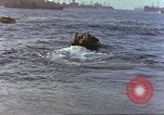 Image of United States Marines Iwo Jima, 1945, second 54 stock footage video 65675057726