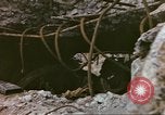 Image of Allied invasion Iwo Jima, 1945, second 6 stock footage video 65675057728