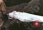 Image of Marine Cemetery on Iwo Jima Iwo Jima, 1945, second 45 stock footage video 65675057729
