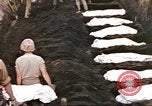 Image of Marine Cemetery on Iwo Jima Iwo Jima, 1945, second 53 stock footage video 65675057729