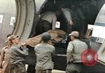 Image of United States Marines Iwo Jima, 1945, second 7 stock footage video 65675057730