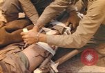 Immagine di Stati Uniti Marines Iwo Jima, 1945, secondo 20 filmato di repertorio 65675057733