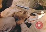 Immagine di Stati Uniti Marines Iwo Jima, 1945, secondo 38 filmato di repertorio 65675057733